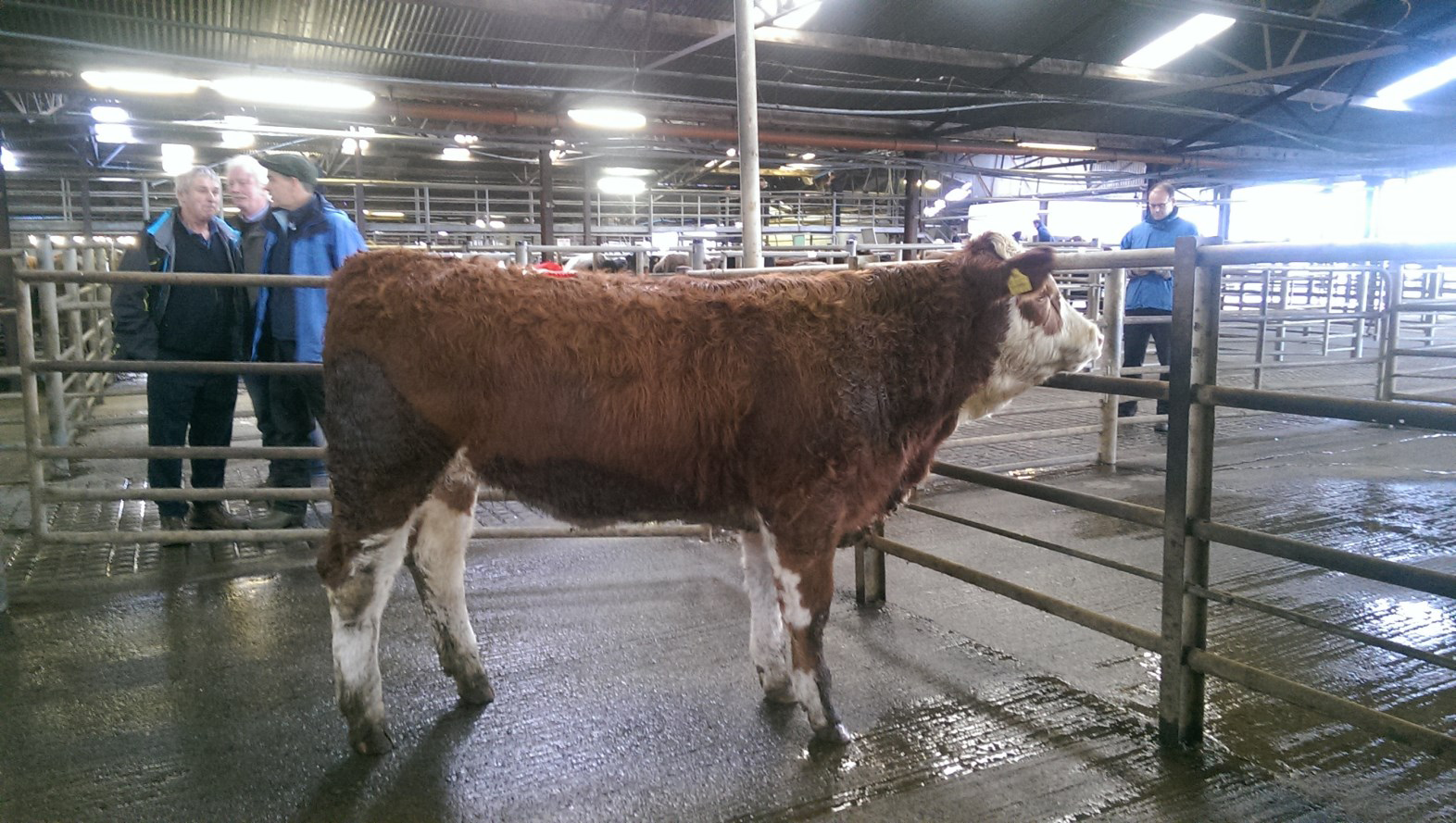 Ballina Sale Report lot 10