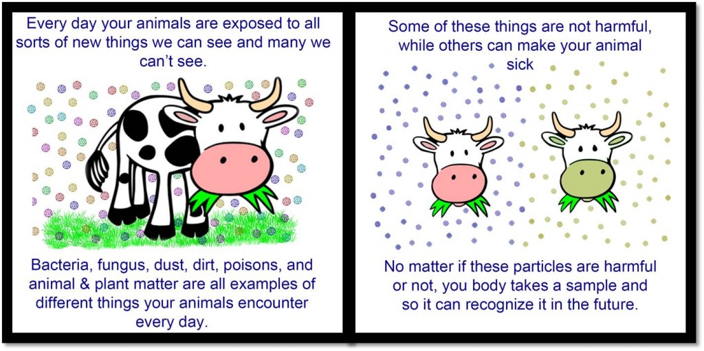 Panels 1 &2- Exposure to pathogens