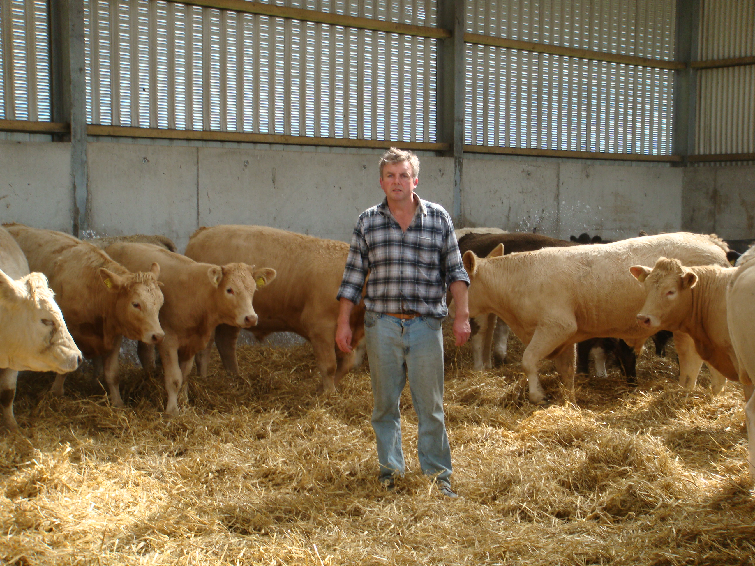 Gerard Rochford, Wexford ICBF