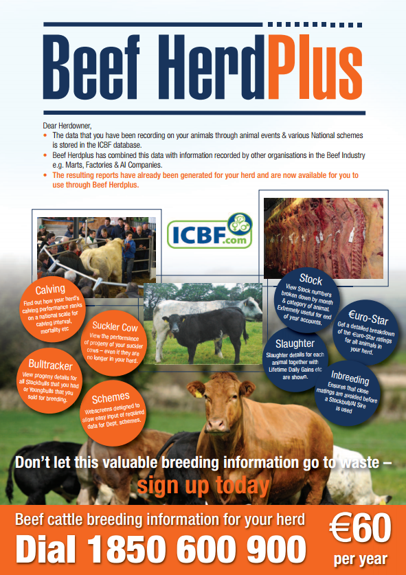 beef sign up