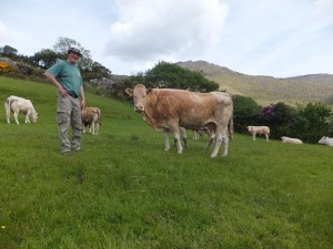 Mike Healy, Kerry,  with one of his pedigree cows ‘Kingdom Niamh’