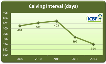 Read more about the article Further fertility improvements in the National Dairy Herd