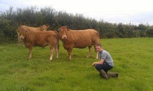 Read more about the article Gene Ireland Maternal Bull Breeder Herd of the Week