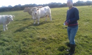 Read more about the article Gene Ireland Bull Breeder of the week – Tom Power, Ballyhussa, Kilmacthomas, Co Waterford