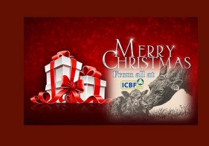 Read more about the article Seasons Greetings from all in ICBF
