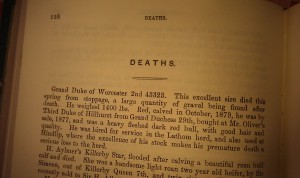 Report of the death of a bull from the mid 1840's