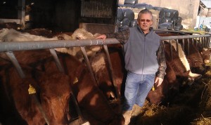 Read more about the article Gene Ireland Bull Breeder of the week – Richard Lee, Kildorrery Road, Mitchelstown, Co.Cork