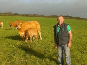 Read more about the article Gene Ireland Bull Breeder feature – James Wycherley, Barryroe, Co.Cork