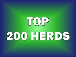 Top 200 herds Now Published