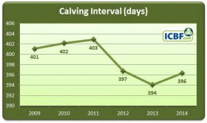 Read more about the article HerdPlus Dairy Calving Report