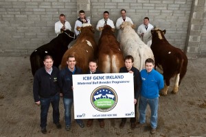 Read more about the article Beef Gene Ireland Catalogue now available