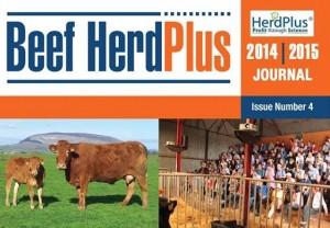 Beef HerdPlus Journal