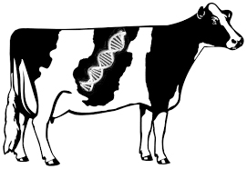 Unlocking healthier herds through genetics