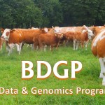 BDGP – Did it deliver?