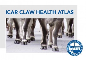 Read more about the article New colour atlas of claw diseases available!