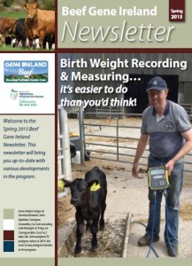 New!  Beef Gene Ireland Newsletter