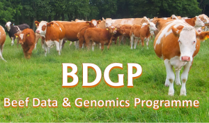 Read more about the article July 29th Deadline for 2015 Tags and Data