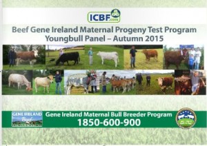 Read more about the article Beef Gene Ireland Autumn Catalogue