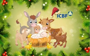 Read more about the article Happy Christmas from all at ICBF