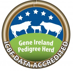Read more about the article Gene Ireland Bulls increase in €uro Value and Reliability