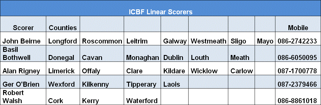 Linear Scorers