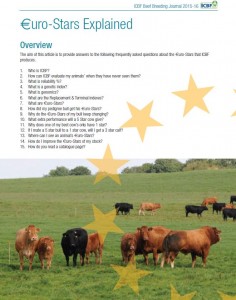 Beef €uro-Stars explained