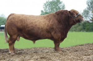 April 2016 Beef Proofs now Published