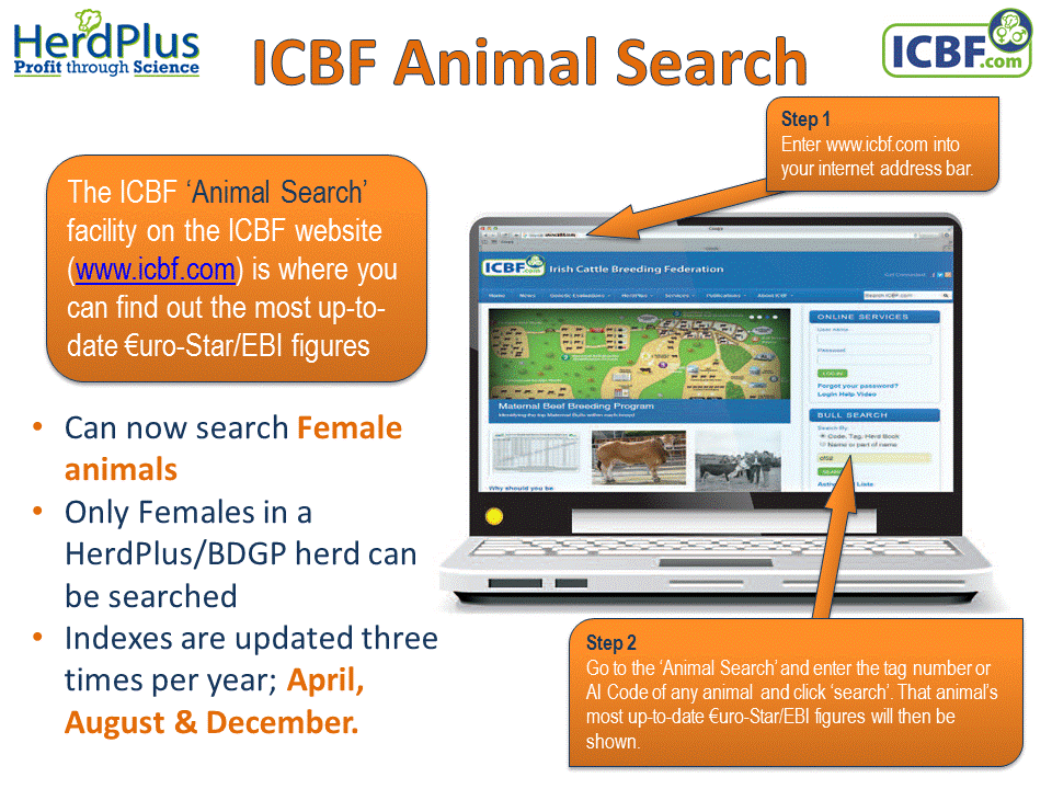 HerdPlus Animal Search Board