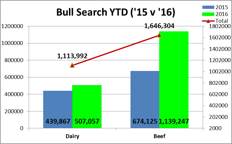 bull search year to date