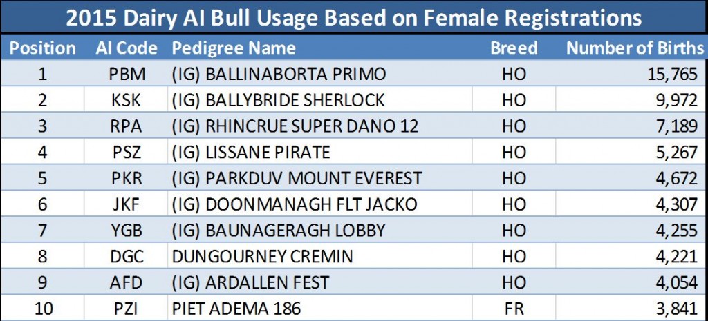 dairy bulls stats