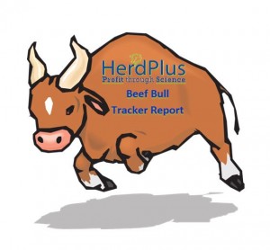 Read more about the article HerdPlus Beef Bull Tracker Reports Now Online