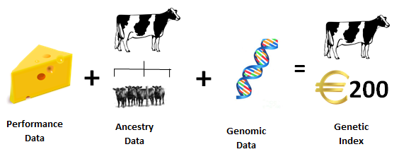 Genetic Index ICBF