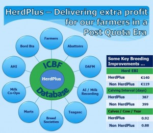 Read more about the article All you need to know about Dairy HerdPlus