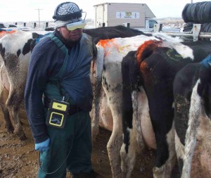 Read more about the article Scanned your Cows Recently??