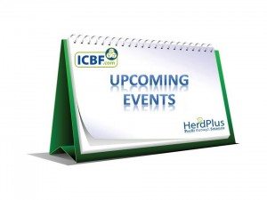 Read more about the article ICBF Upcoming Events Page