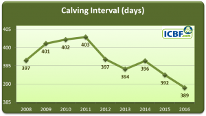 Read more about the article Continued Progress in National Dairy Herd Fertility