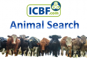 Read more about the article Over 2.9 Million Hits on ICBF Animal Search