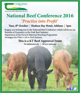Read more about the article Teagasc National Beef Conference