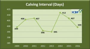 Read more about the article Improvement in Beef Fertility for the 2nd year in a row