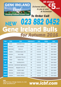 Read more about the article Autumn Beef Gene Ireland Bulls Available