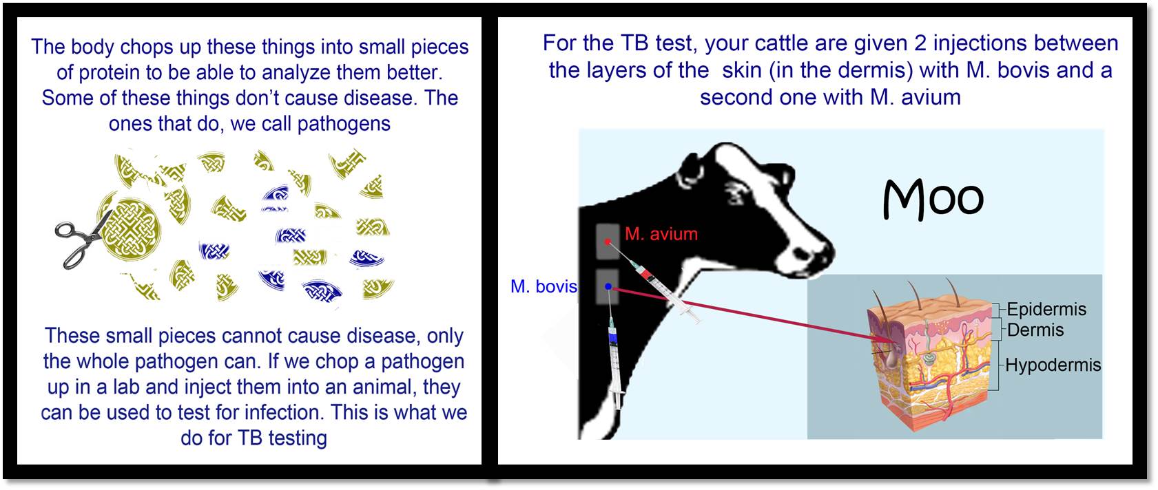 All about TB - ICBF