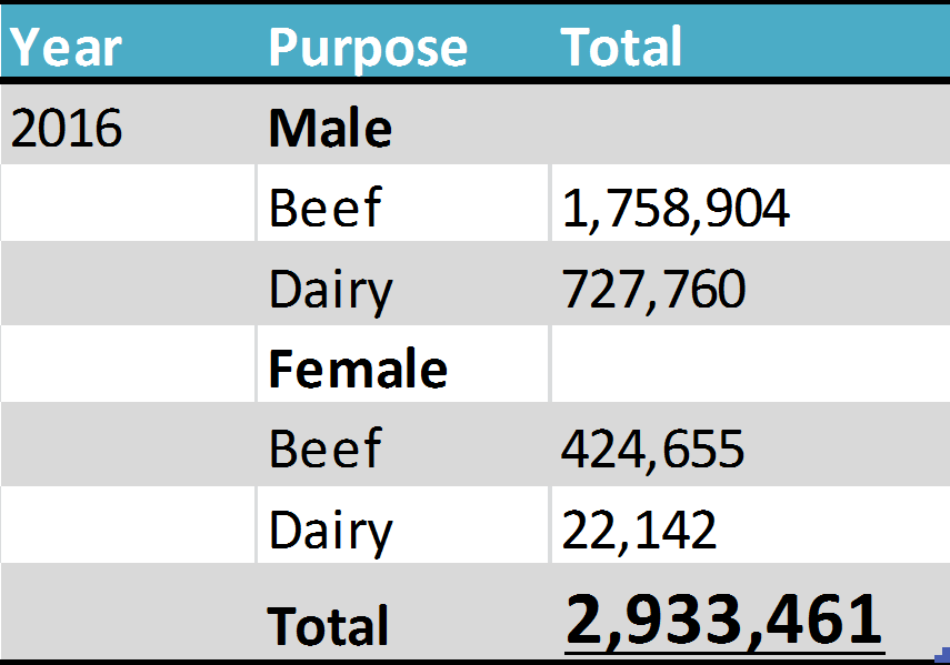 animaal-search-stats-2016-female-and-male