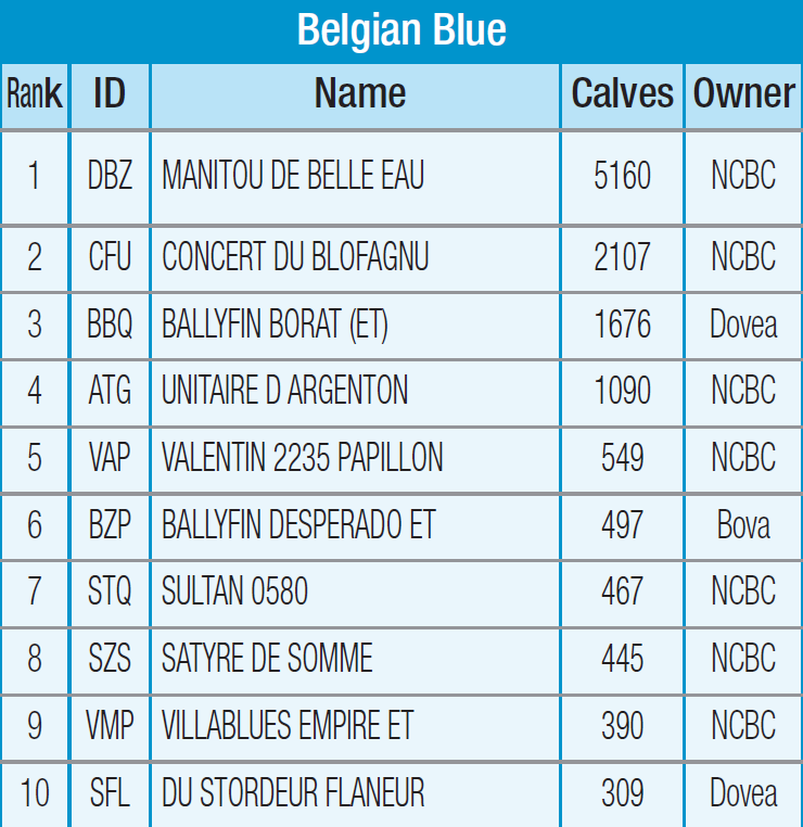 belgiun-blue-dairy-stats