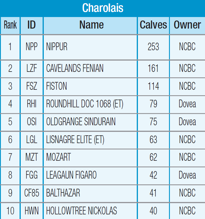 charolais-dairy-stats