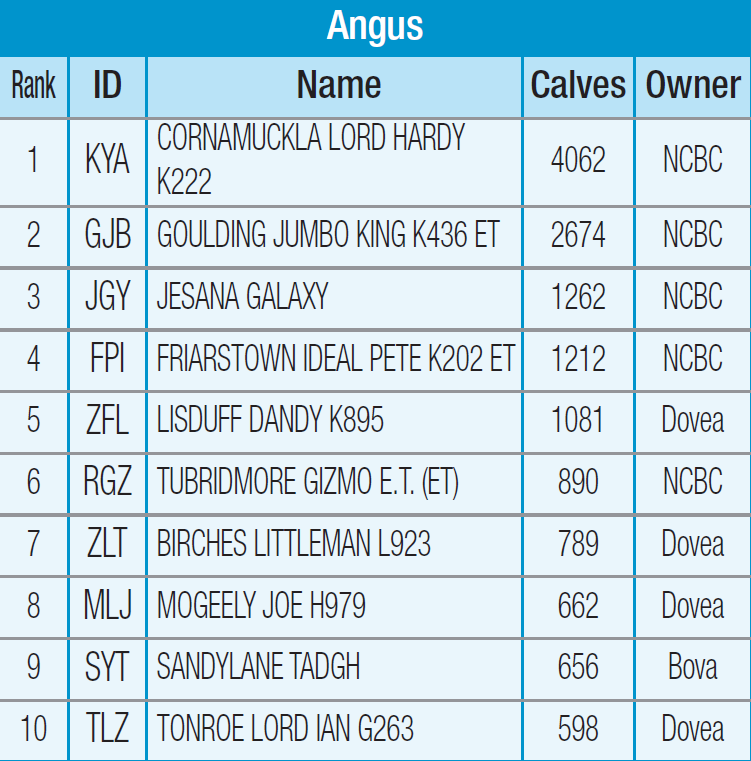 angus-stats