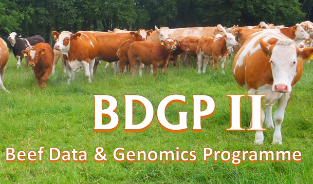 Read more about the article BDGP II Deadline Fast Approaching