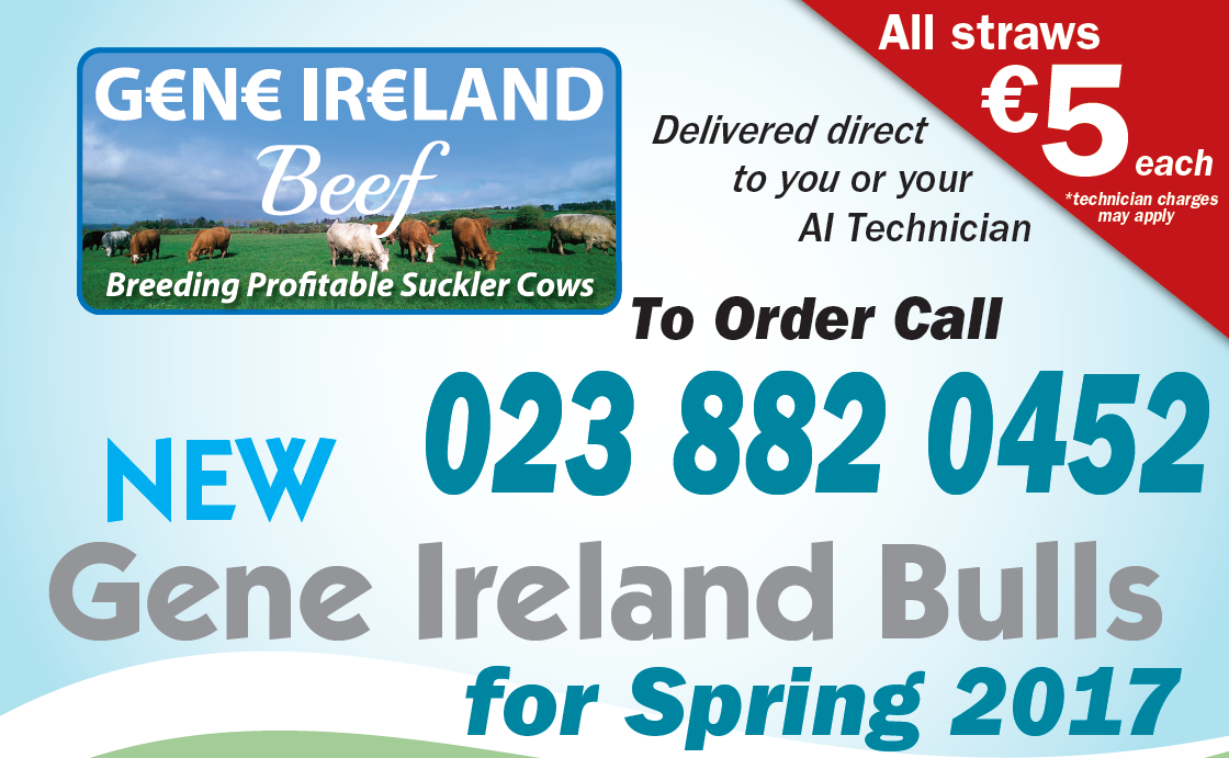 Read more about the article Gene Ireland Beef Programme – Spring 2017 panel now available