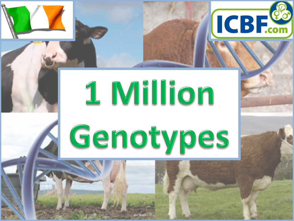 Read more about the article Ireland reaches 1 Million Genotype Milestone