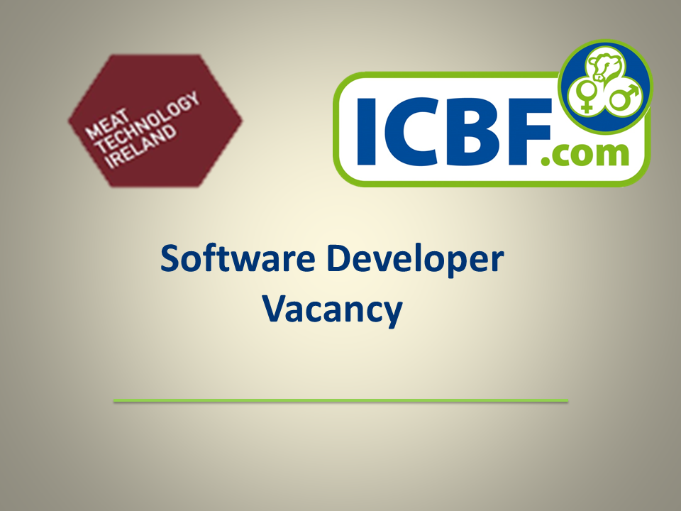 Read more about the article Vacancy – Software Developer
