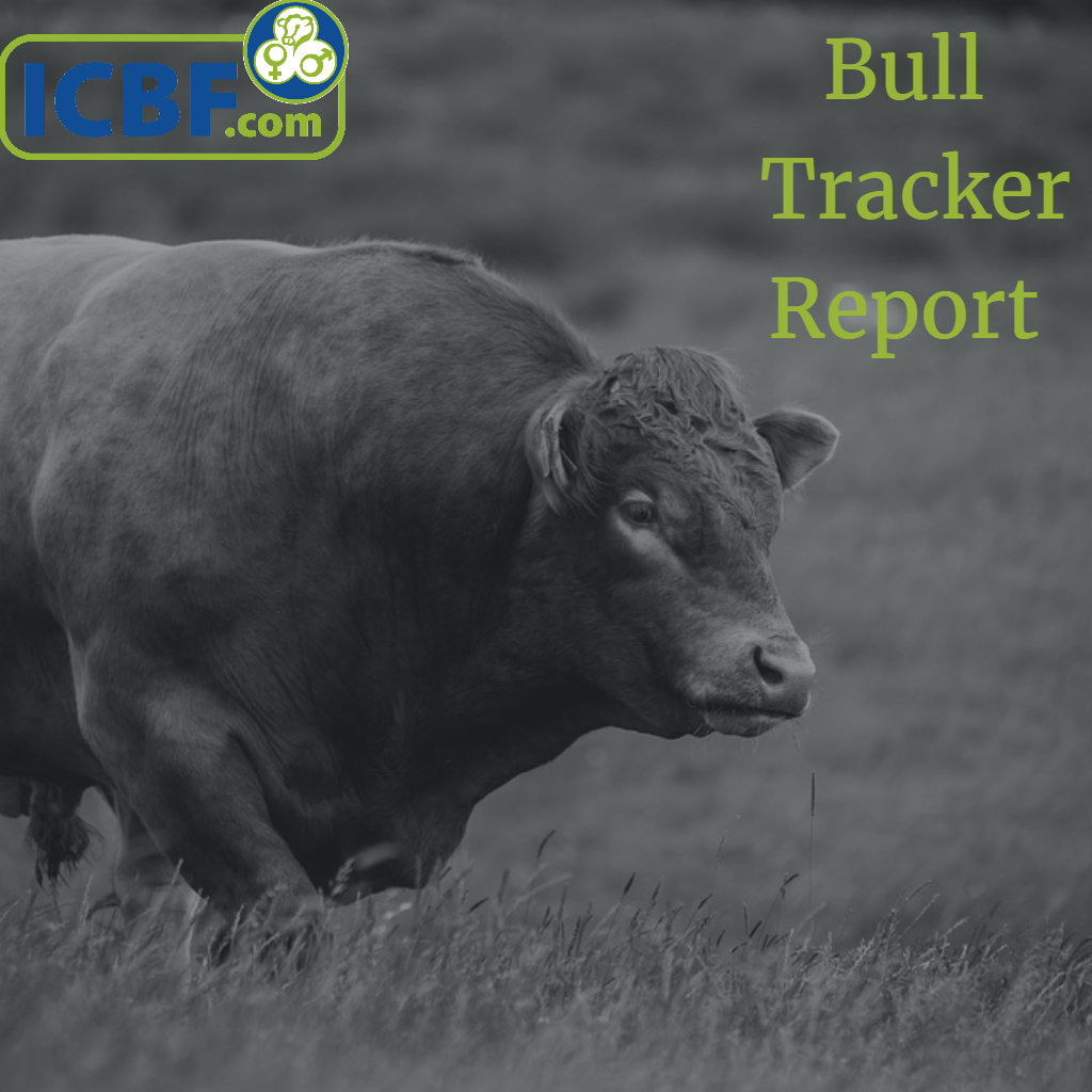 Read more about the article Bull Tracker Reports now Online